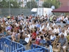 FESTA DE L